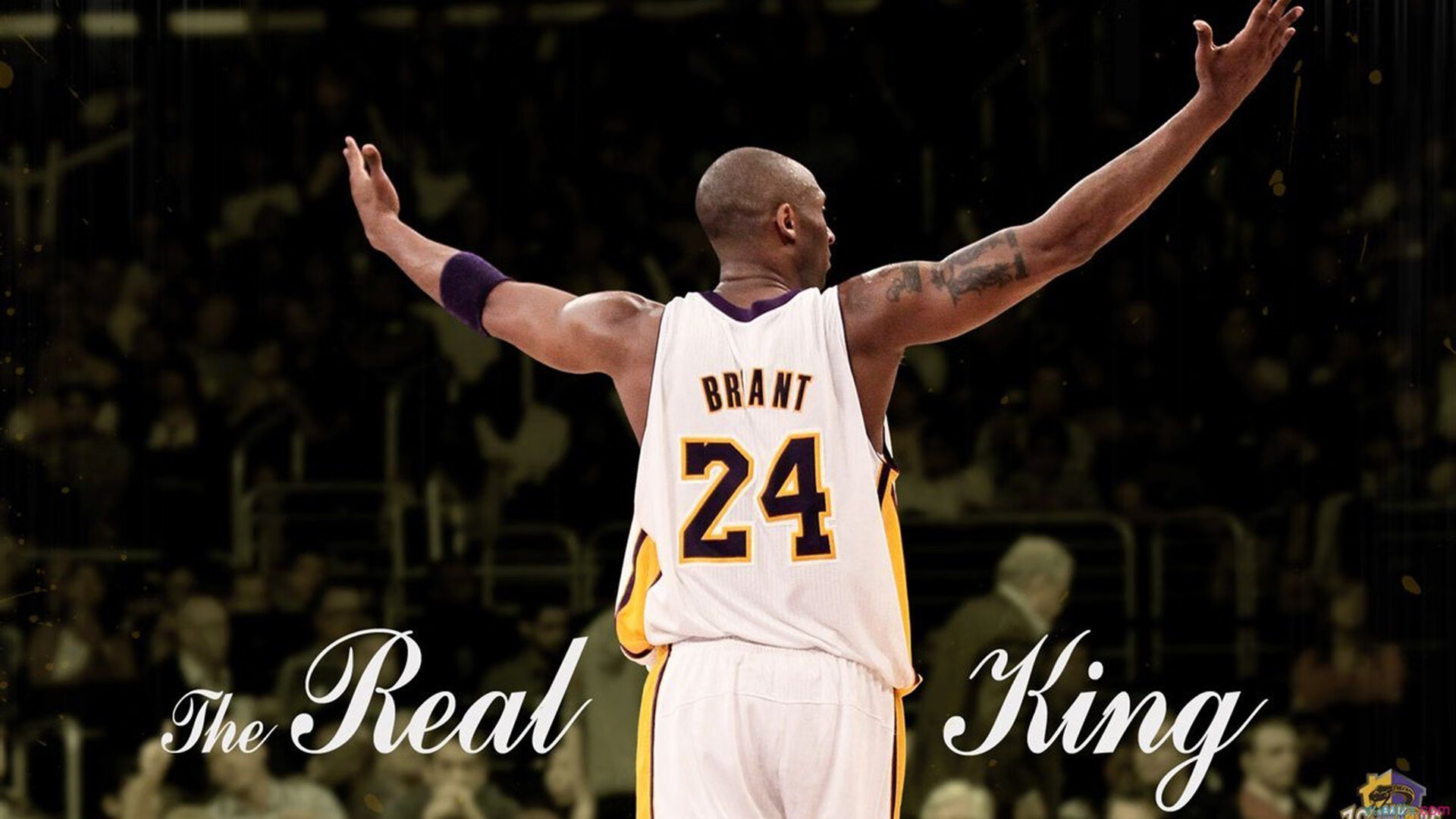 里根·史密斯决赛节奏掌控堪称典范，美国游泳里根史密斯